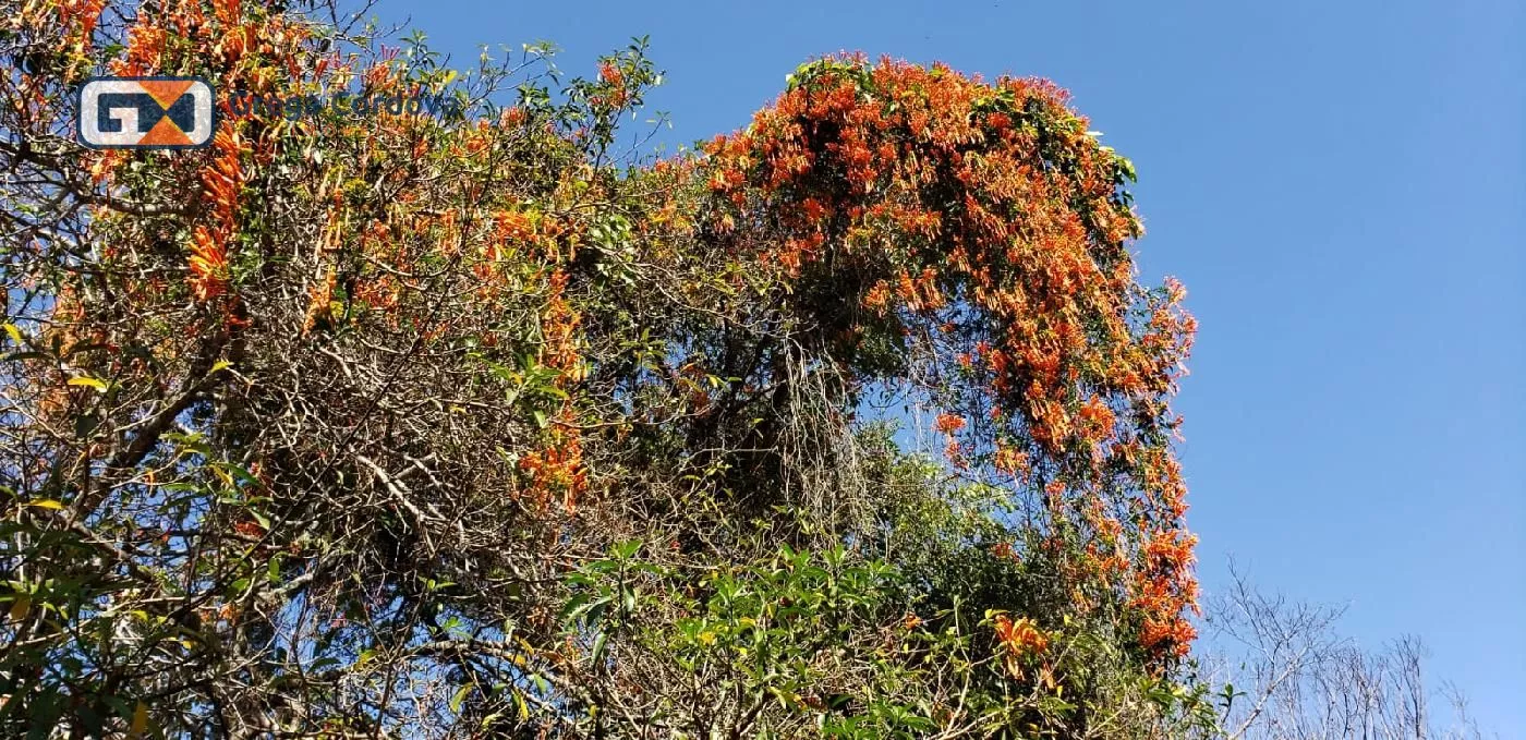Linda chacara alto padão com lago no centro de Araçoiaba