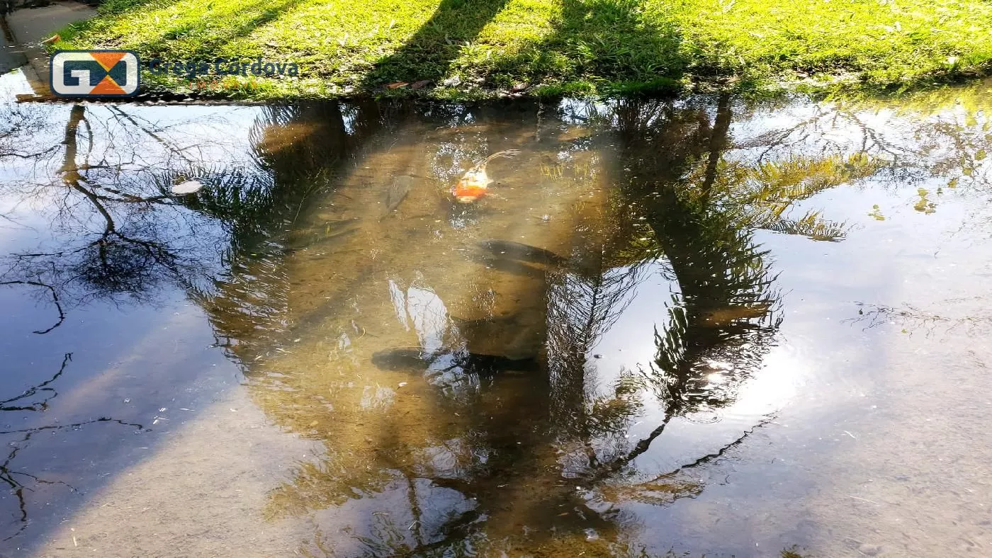 Linda chacara alto padão com lago no centro de Araçoiaba